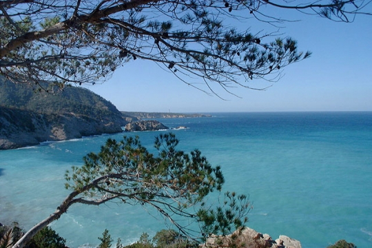 ibiza